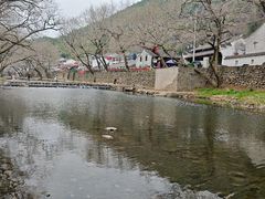 -鹿亭中村