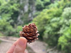 -水墨汀溪风景区