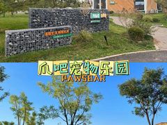 -爪吧宠物乐园·宠物泳池(温榆河示范区店)