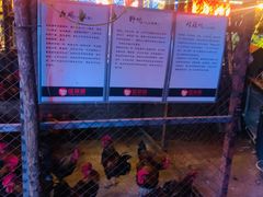 -鱼窝棚柴火铁锅炖(富山屯店)