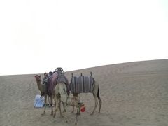 -迪拜沙漠冲沙