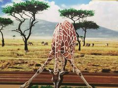 -郑州梵高星空错觉艺术馆(大上海城旗舰店)