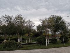 -天津东丽湖风景区