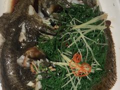 清蒸多宝鱼-一品红川菜(皇岗店)