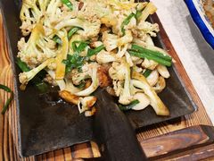 -邵年鸽(杨庄店)