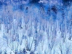 -雪谷
