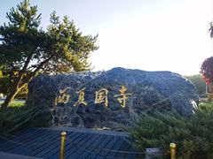 -张掖大佛寺景区