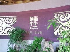-阿斯牛牛十二餐厅•四季餐厅(民族大道店)