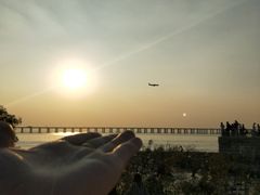 -宝安西湾红树林湿地公园