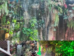 -正佳雨林生态植物园