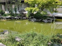 -秋霞圃