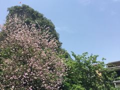 -刘姐啤酒鱼民族演艺餐厅(西街总店)