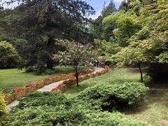 -庐山风景区花径公园