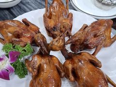 -鸽鸟轩(石岐店)