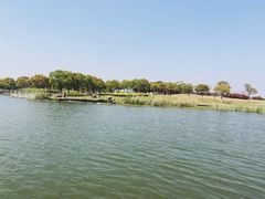 -上海都市菜园