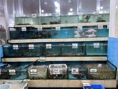 水产区-秋姐美食店(旅游大道店)