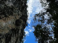 -少华山国家森林公园