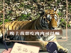 -西安秦岭野生动物园