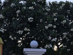 -芽庄中心购物广场