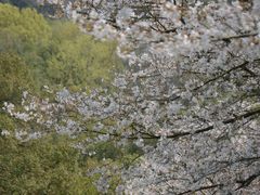 -杭州少年儿童公园