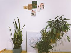 -隹木咖啡馆(宝龙广场店)