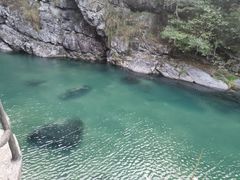 -石台牯牛降景区