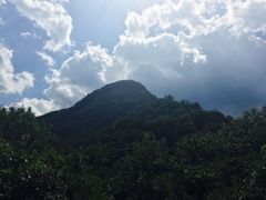 -阳台山自然风景区