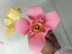 -秦巴石锅鱼(文化南路店)
