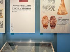 -长沙简牍博物馆