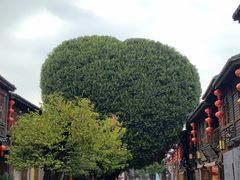 -三坊七巷历史文化街区