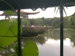 -大屏嶂森林公园