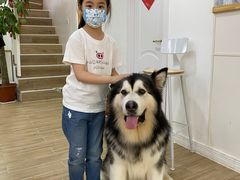 -李小姐の猫咖啡馆(五角场店)