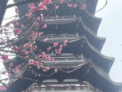 -洋湖国家湿地公园