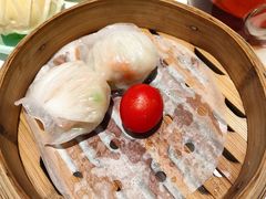 -新兴·金羊座·粤菜点心(乐峰店)