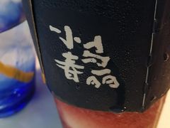 -春丽小马(济南恒隆广场店)