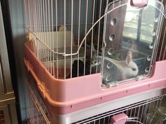 -藦茜花园宠物主题亲子互动体验馆(国顺东路店)