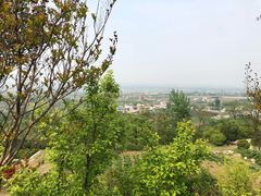 -盛世牡丹苑生态文化旅游区
