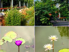 -国家植物园南园