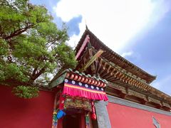 -塔尔寺菩提树