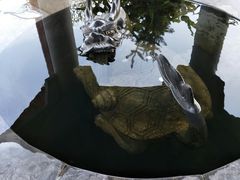 景点-西安大兴汤院遗址公园