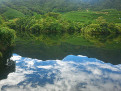 -龙坞茶村