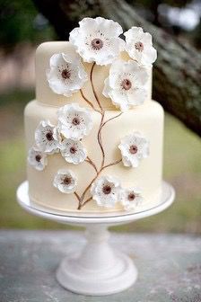 -BLACKSWAN黑天鹅(环球店)