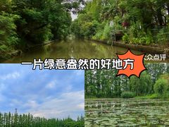 -上海长兴岛郊野公园