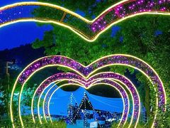 -汤山温泉房车营地 茶温泉