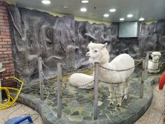 -上海大自然野生昆虫馆(东方明珠·爬宠昆虫探索中心)