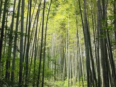 -南山风景名胜区