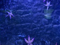 -北戴河圣蓝海洋公园