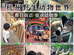 -杭州野生动物世界