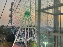 -花博汇(知音花月夜)