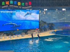 -泉城欧乐堡海洋极地世界